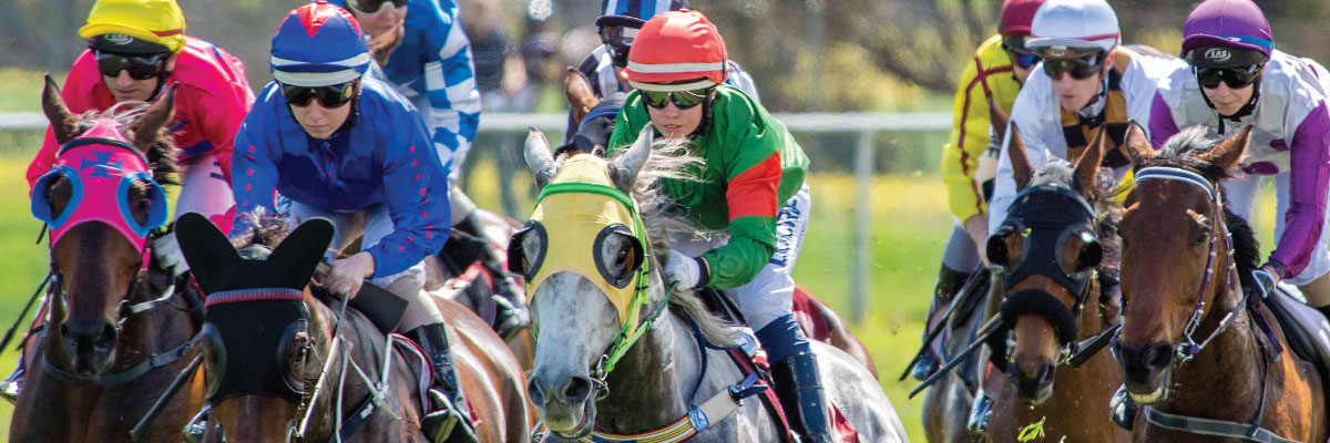 Jockeys and horses racing